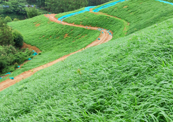 南嶺國家公園環丹霞山片區生態環境系統保護修復工程（湞江區煤矸石礦區遺址生態環境修復治理）設計、施工總承包