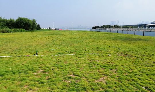 前海合作區鏟灣渠土地平整和軟基處理工程施工